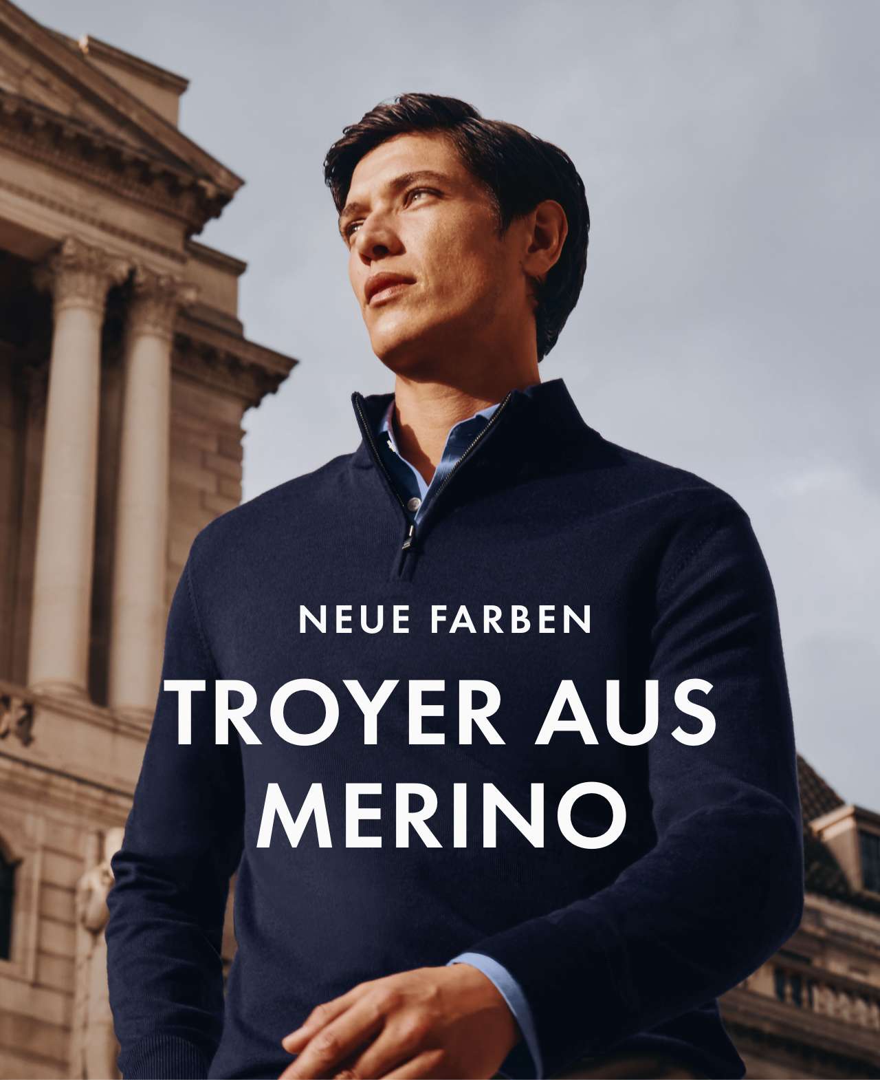 Troyer aus Merino