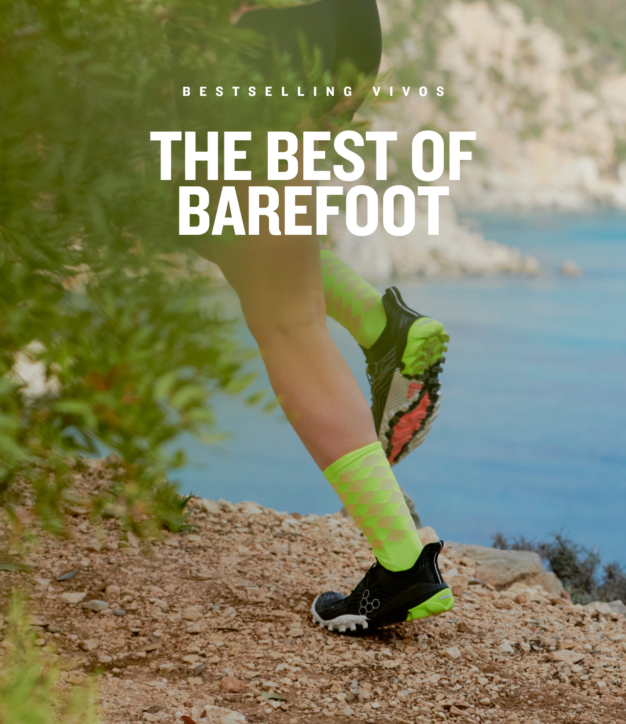 THE BEST OF BAREFOOT