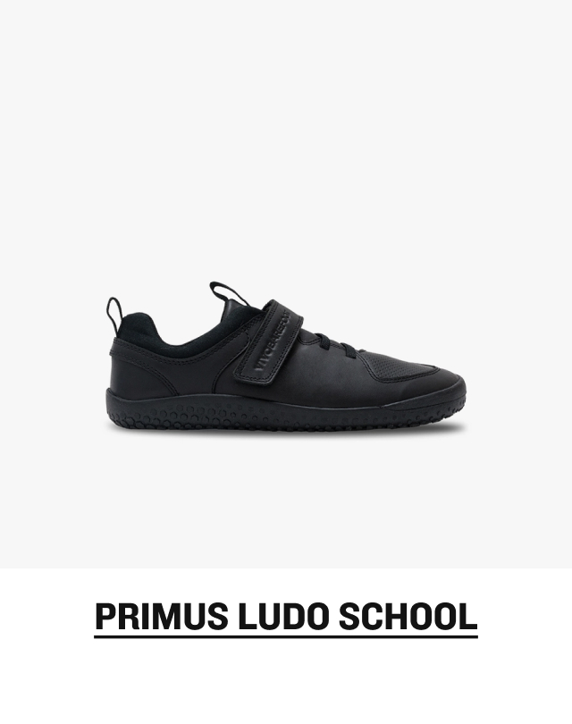 SHOP PRIMUS LUDO SCHOOL