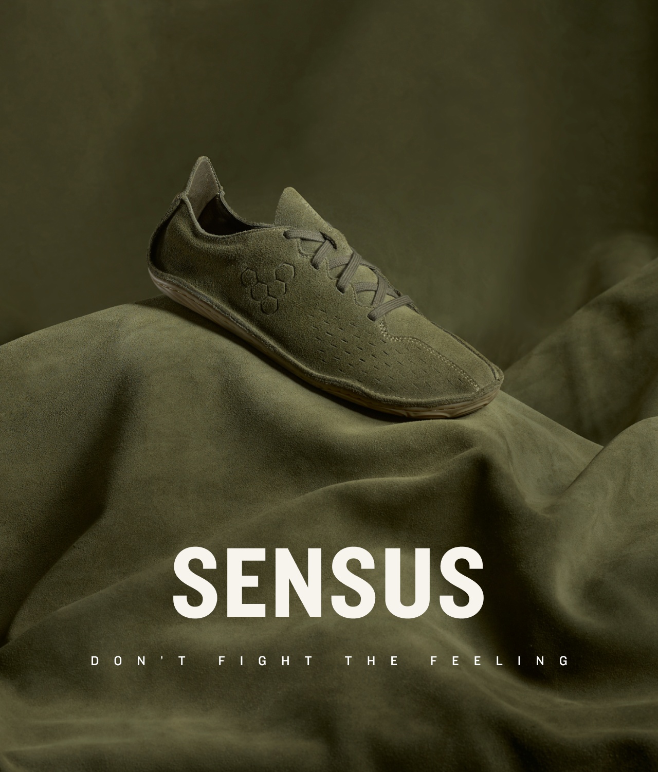 DISCOVER THE SENSUS