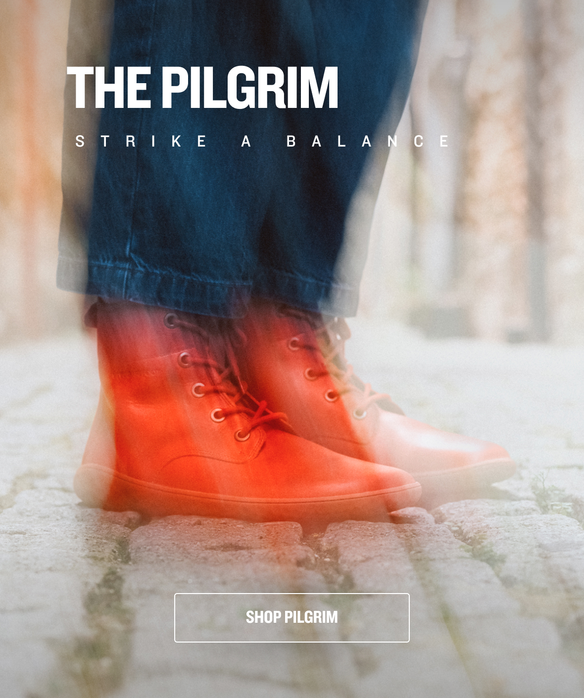 DISCOVER THE PILGRIM