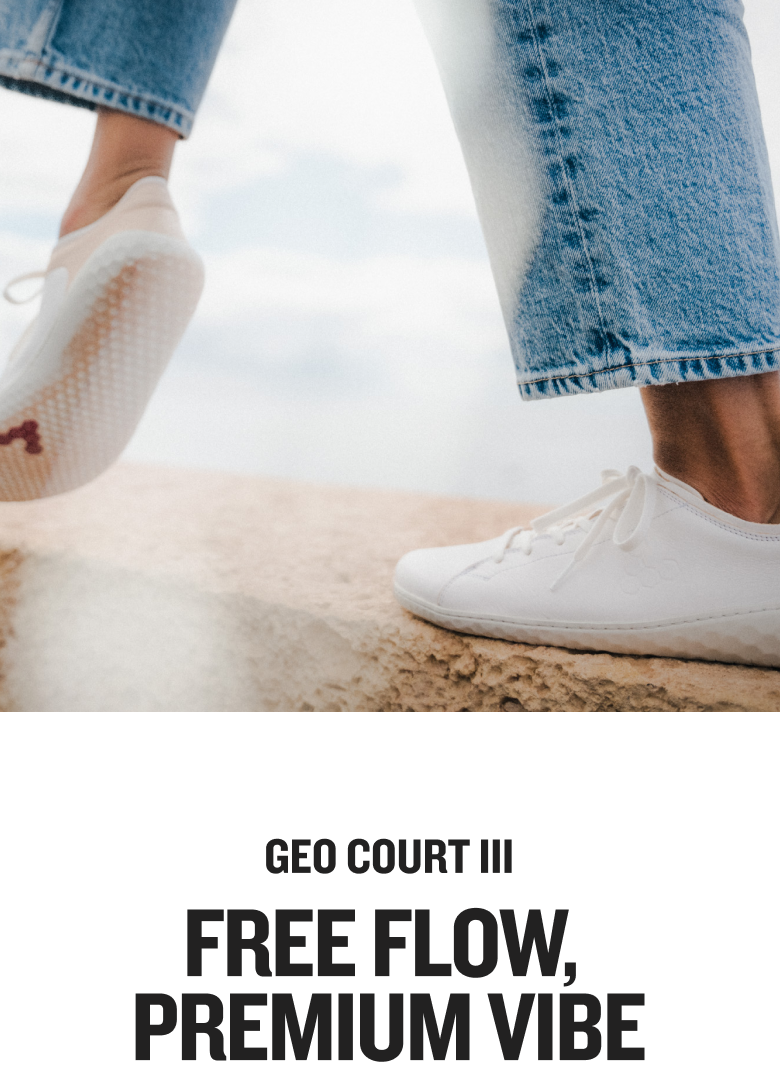 EXPLORE GEO COURT III