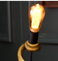 Incredible Iguana Table Lamp