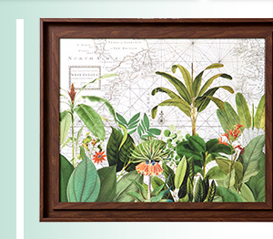 Exotic Wildlife Framed Canvas Print