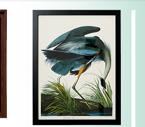Great Blue Heron And Flamingo Framed Prints Set Of 2