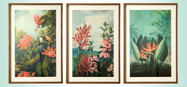 Tropical Floral Framed Prints Set Of 3