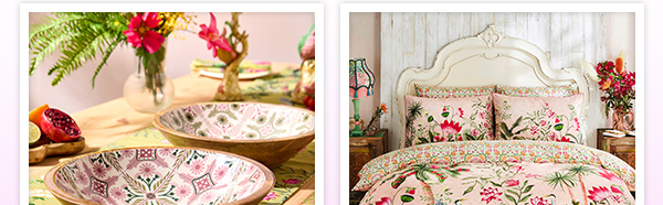 Discover The Collection