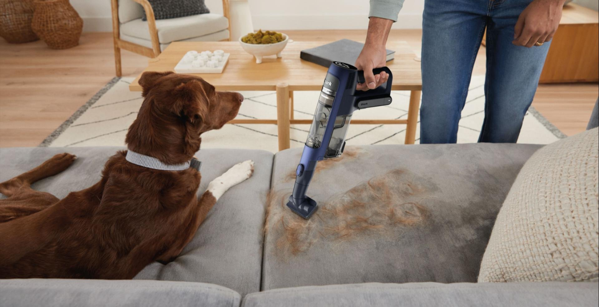 L'aspirateur conçu pour s'adapter à votre quotien