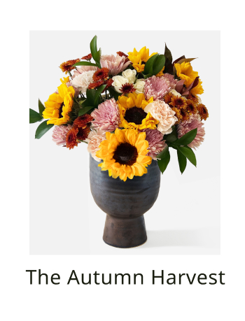 The Autumn Harvest