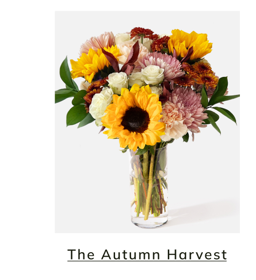 The Autumn Harvest 