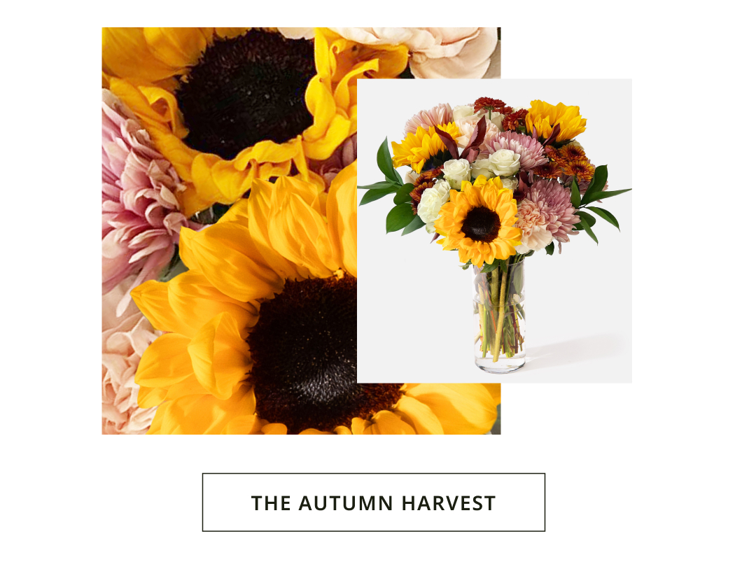 The Autumn Harvest