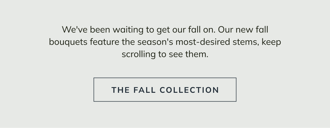 The Fall Collection