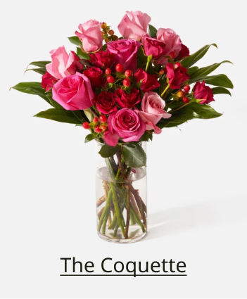 The Coquette