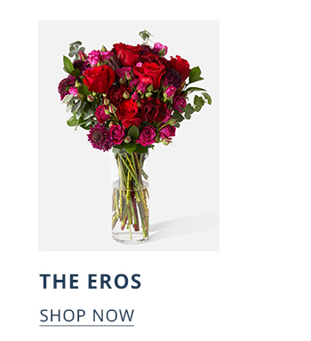 THE EROS SHOP NOW 