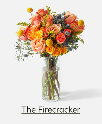 The Firecracker