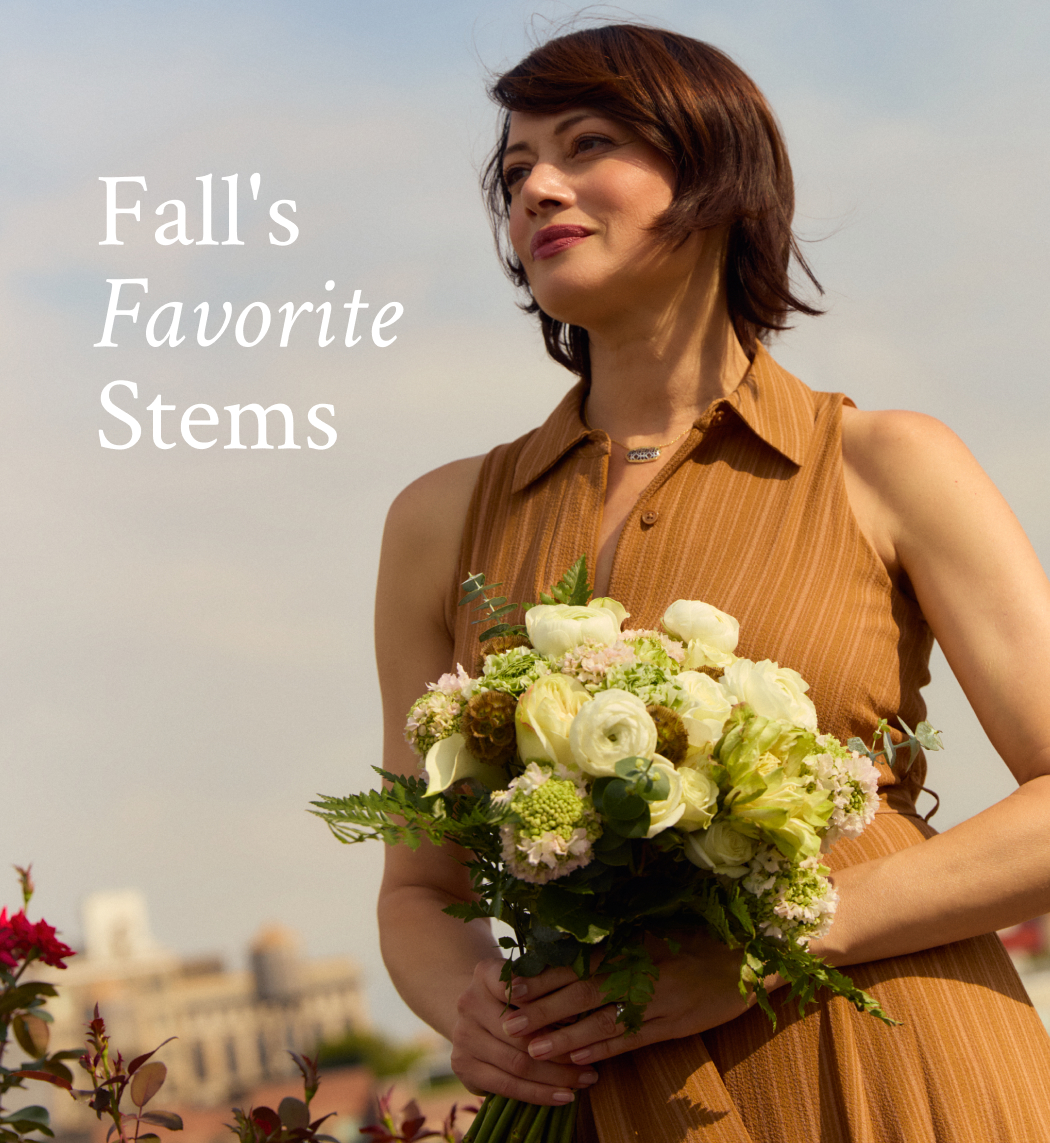 Fall's Favorite Stems