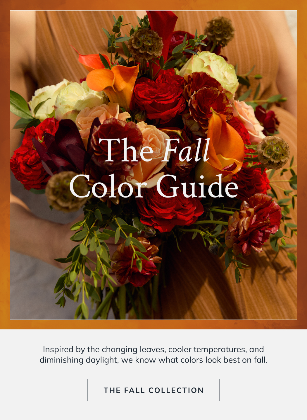 The Fall Color Guide