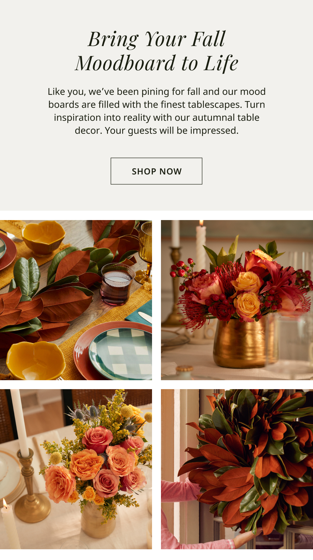 Bring Your Fall Moodboard to Life