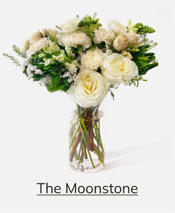 The Moonstone