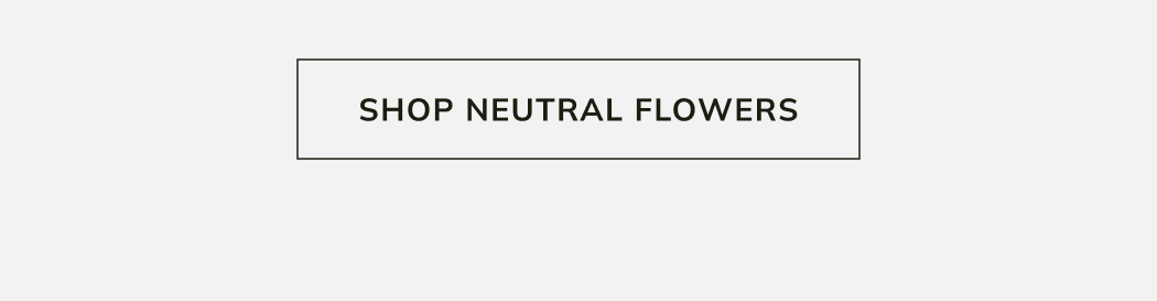 Shop Neutral Flowers