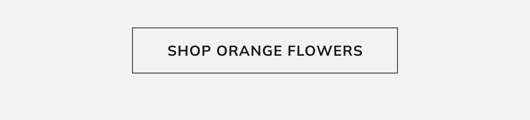 Shop Orange Flowers