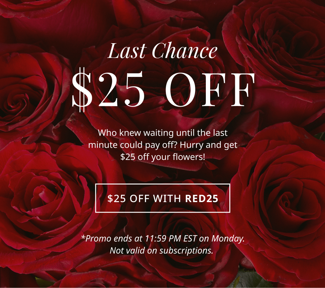 Last Chance $25 Off