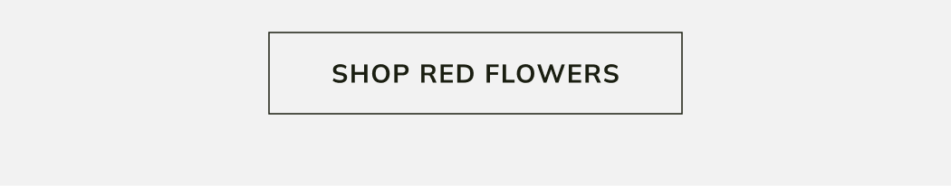 Shop Red Flowers