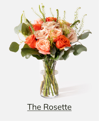 The Rosette