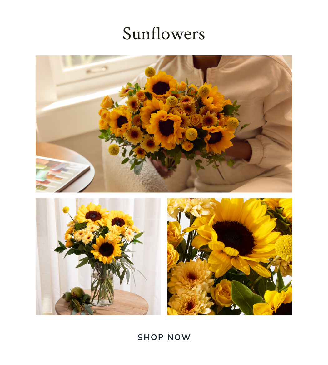 Sunflowers