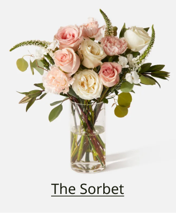 The Sorbet 