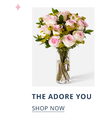  Y THE ADORE YOU SHOP NOW 