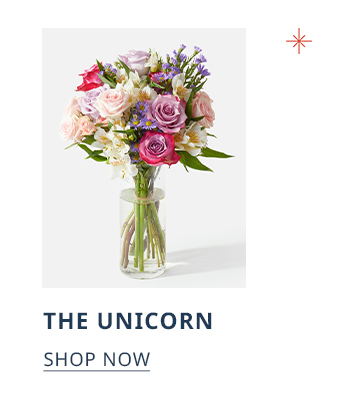  THE UNICORN SHOP NOW 