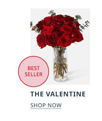  THE VALENTINE SHOP NOW 