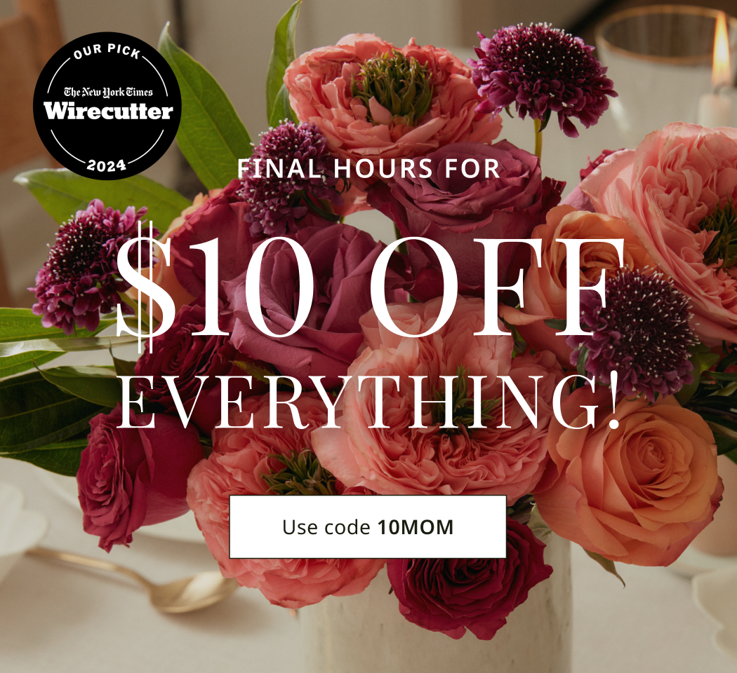 $10 Off Everything