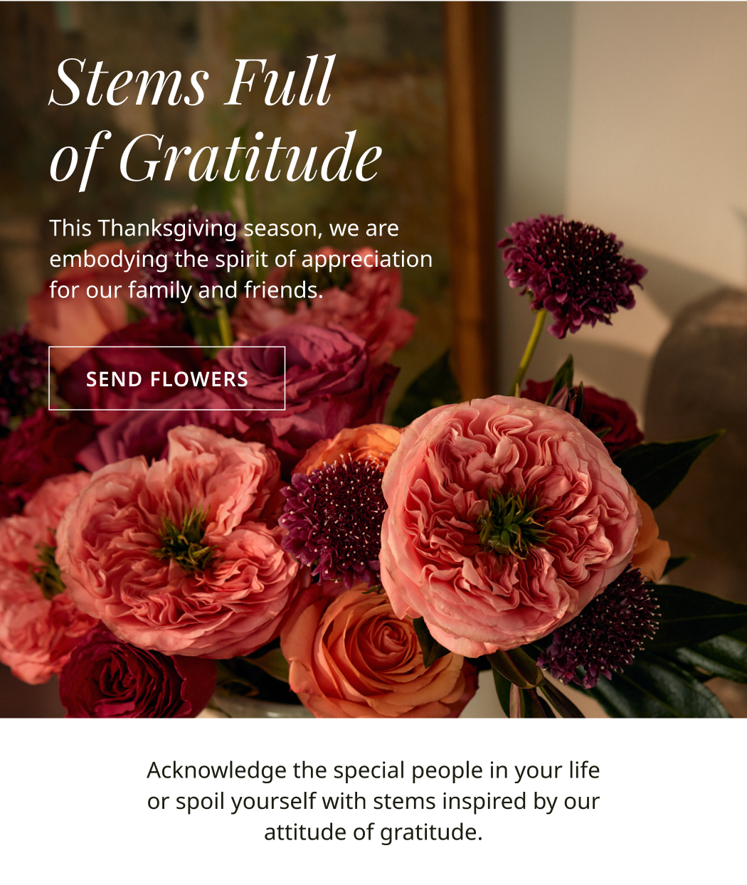 stems of gratitude