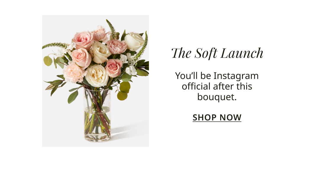 Soft Launch