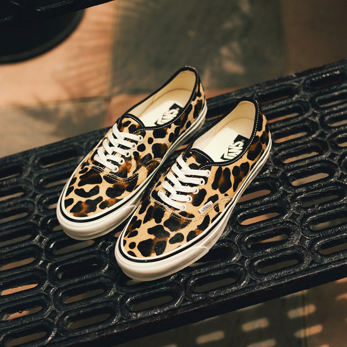Women's New In