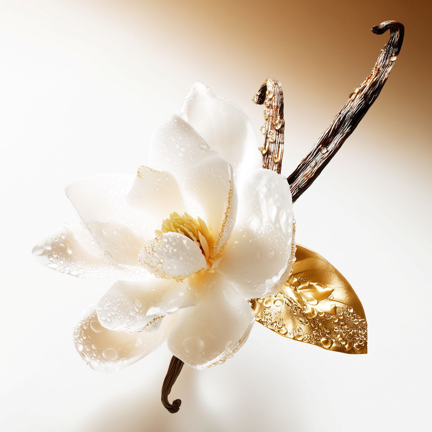 Vénus de Nina Ricci