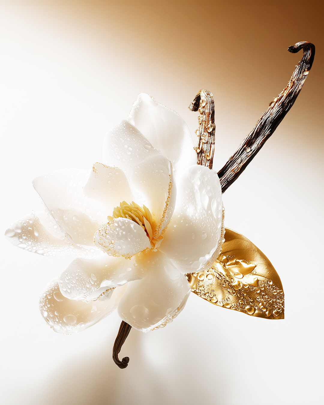 Vénus de Nina Ricci