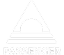 Logo van Passenger