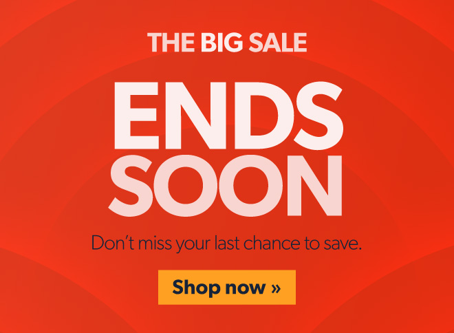 THE BIG SALE
