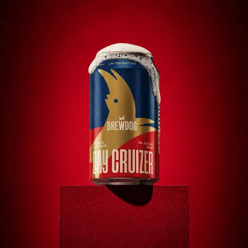 DAY CRUIZER