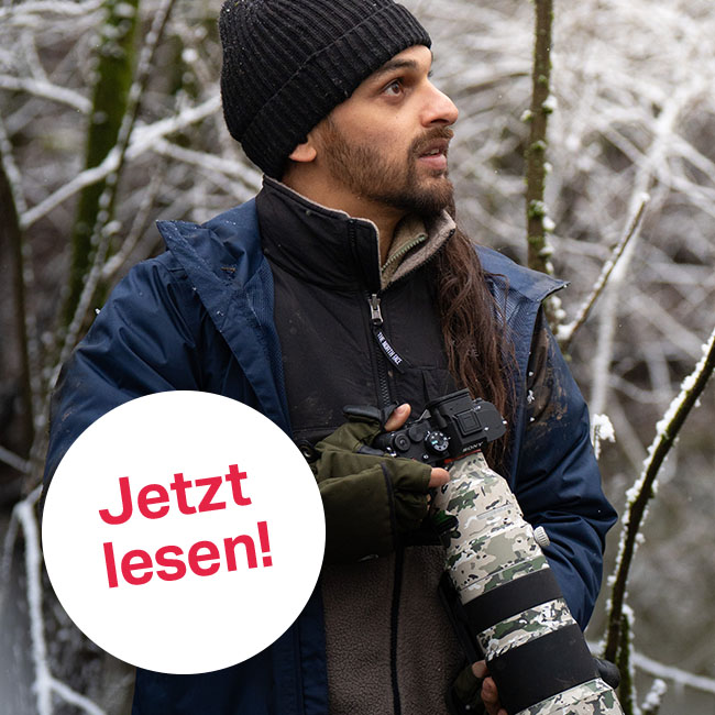 Wildlife mit Sony A7 V