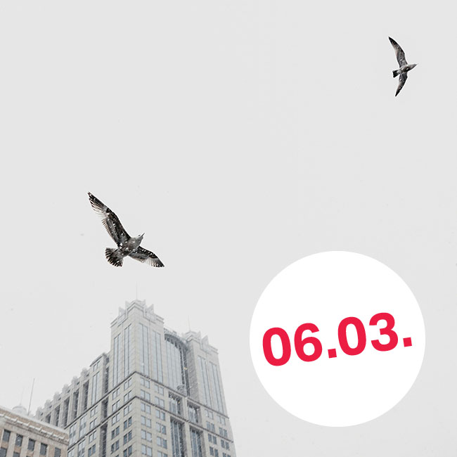 Sony Alpha Expertentag in Köln