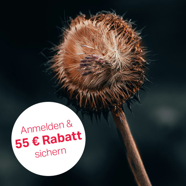 Anmelden und 55 €-Rabatt sichern