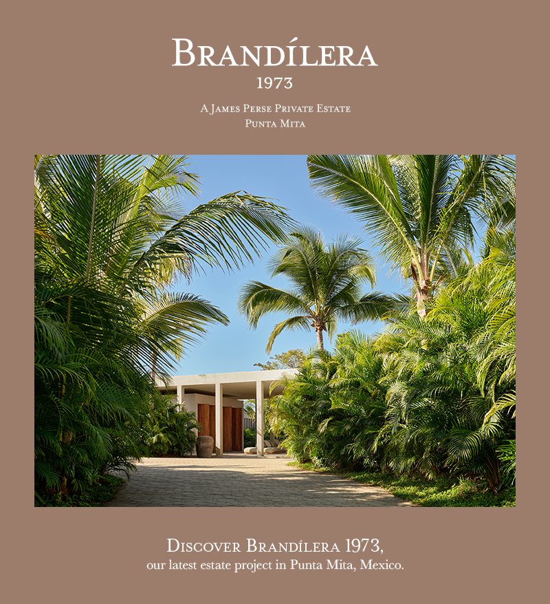 BRANDILERA ARTICLE