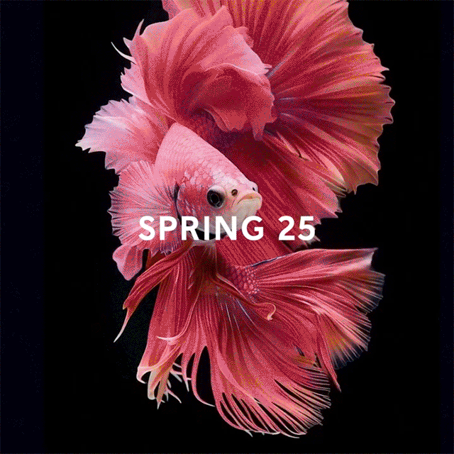 Tune in Now: Carolina Herrera at NYFW