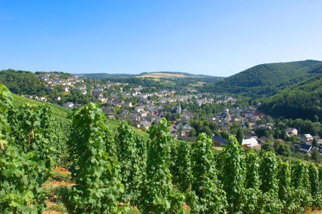 landgasthof-simon-umgebung-78443.webp