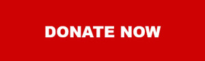 DONATE NOW
