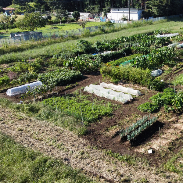 Photo above: The Eco-farm at Utsunomiya University. Photo courtesy of the authors.